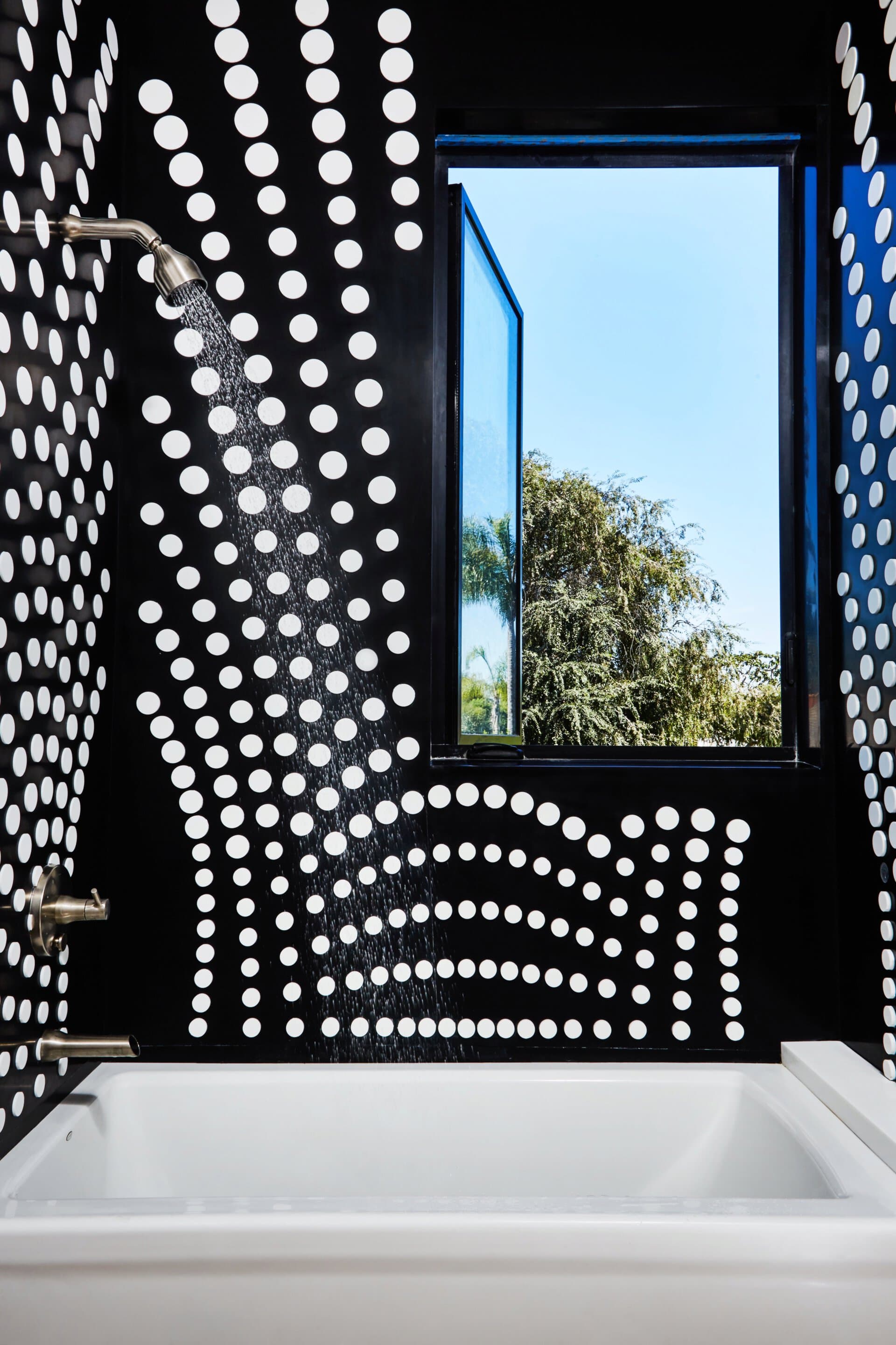 Black and White Frolic Bathroom