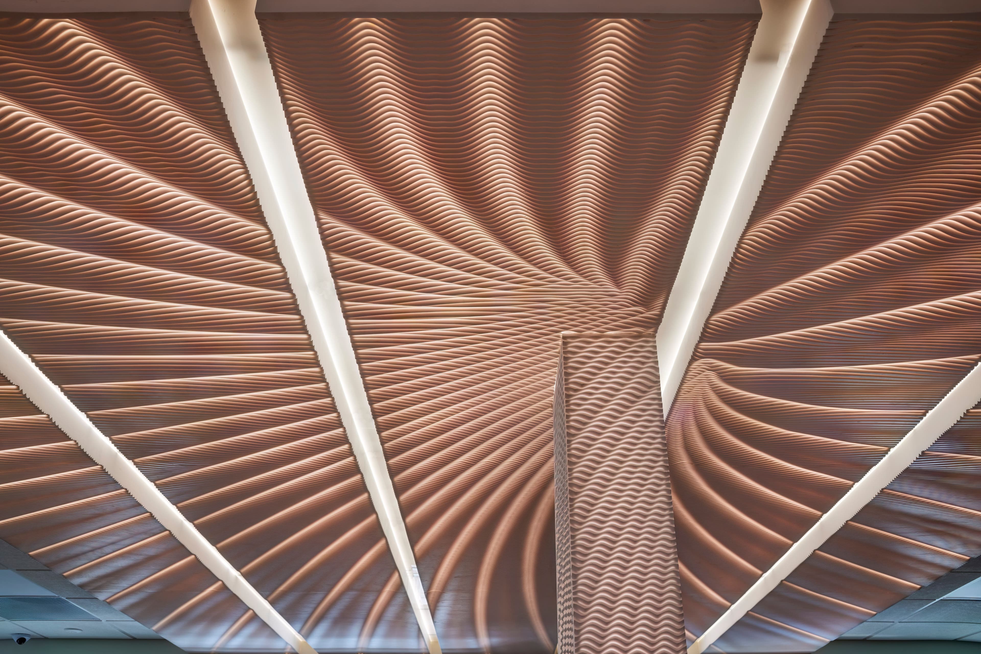 Slice Cosmos Ceiling