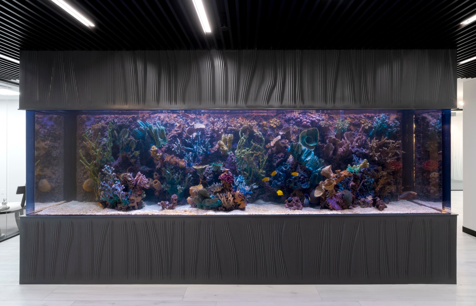 Pacific Companies Fish Tank