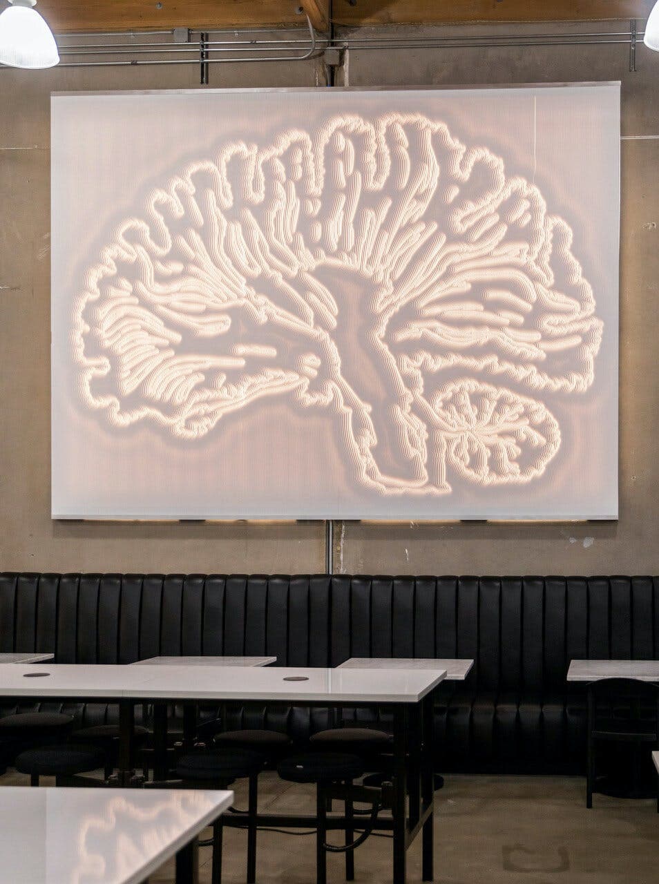 Branding Custom Brain Backlight Wall Application